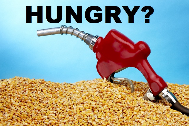 Étel versus üzemanyag - éhes?